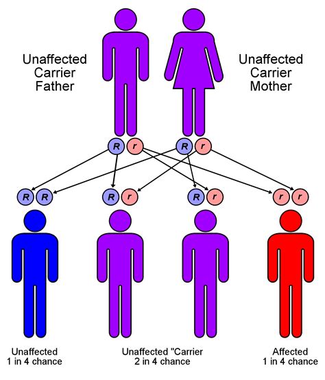 are kinks hereditary|does dna determine sexuality.